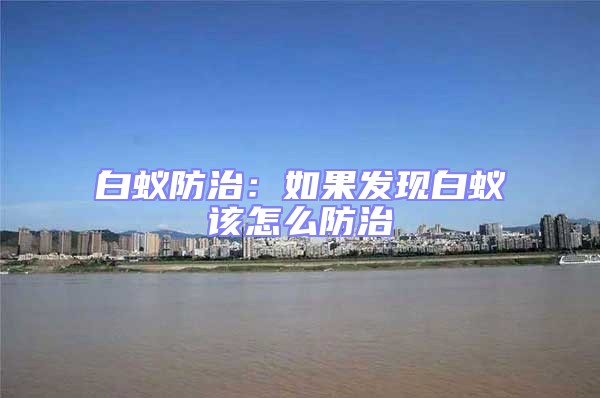 白蟻防治:如果發現白蟻該怎么防治