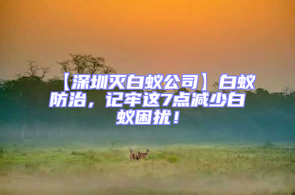 【深圳滅白蟻公司】白蟻防治，記牢這7點減少白蟻困擾！