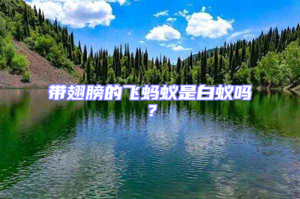 帶翅膀的飛螞蟻是白蟻嗎？