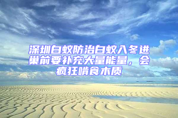 深圳白蟻防治白蟻入冬進巢前要補充大量能量,會瘋狂啃食木質
