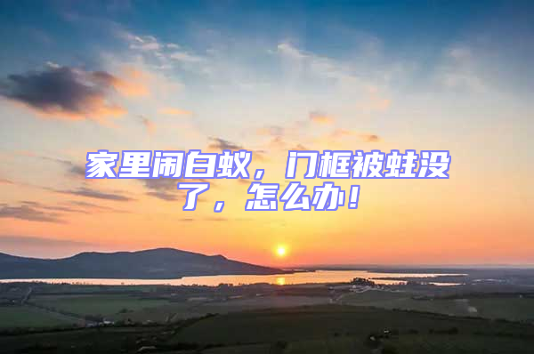 家里鬧白蟻,門框被蛀沒了,怎么辦!