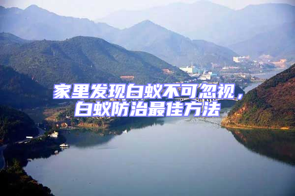 家里發現白蟻不可忽視,白蟻防治最佳方法