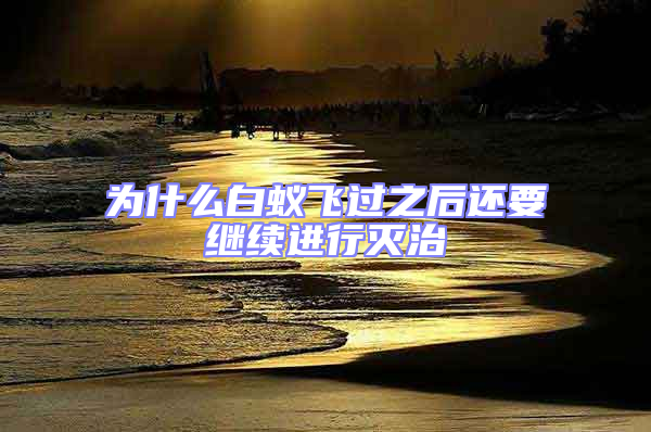 為什么白蟻飛過之后還要繼續(xù)進行滅治