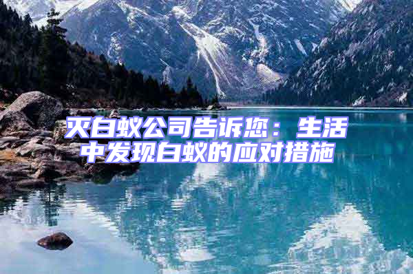 滅白蟻公司告訴您:生活中發(fā)現(xiàn)白蟻的應(yīng)對措施