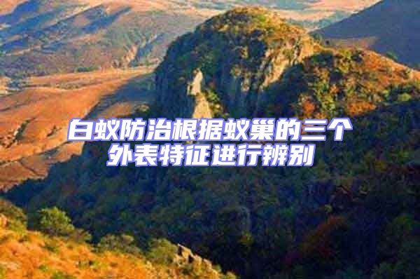 白蟻防治根據(jù)蟻巢的三個外表特征進行辨別