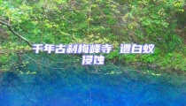 千年古剎梅峰寺 遭白蟻侵蝕