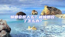 蟑螂會咬人么?被蟑螂咬了怎么辦?