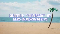 如果遇上“蠢蠢欲動(dòng)”的白蟻-深圳滅蚊蠅公司