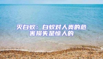 滅白蟻:白蟻對人類的危害損失是驚人的