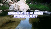深圳白蟻防治公司,建筑白蟻應(yīng)該如何預(yù)防?