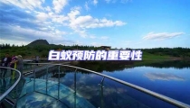 白蟻預防的重要性