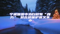 寧波保國(guó)寺治白蟻有“良方” 對(duì)古跡保護(hù)意義不小