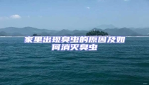 家里出現臭蟲的原因及如何消滅臭蟲