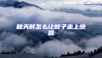 秋天時怎么讓蚊子走上絕路