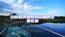 白蟻和其他蟻科動(dòng)物的主要區(qū)別