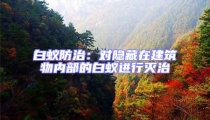 白蟻防治:對隱藏在建筑物內部的白蟻進行滅治