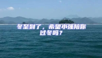 冬至到了,希望小強陪你過冬嗎?