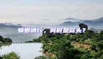 蟑螂橫行,何時是盡頭?