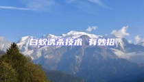 白蟻誘殺技術 有妙招