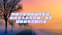 蟑螂入室侵擾居民生活，應該怎么殺滅滅蟑？殺滅蟑螂最有效的方法