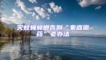 滅蚊蠅蟑螂告別“家庭撒藥”老辦法