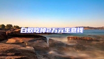 白蟻吃掉2萬元生意錢
