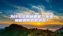 為什么會有蟑螂呢?發現蟑螂如何徹底消滅?