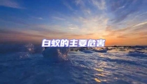 白蟻的主要危害