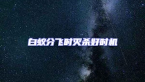 白蟻分飛時滅殺好時機