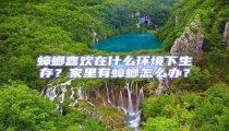 蟑螂喜歡在什么環境下生存?家里有蟑螂怎么辦?