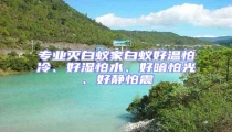 專(zhuān)業(yè)滅白蟻家白蟻好溫怕冷、好濕怕水、好暗怕光、好靜怕震
