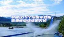 掌握這15個(gè)除蟲(chóng)小妙招,家里蚊蟲(chóng)統(tǒng)統(tǒng)消滅掉