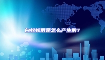 白蟻蟻后是怎么產(chǎn)生的?