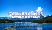 滅老鼠先要懂老鼠的習性和老鼠不喜歡的東西