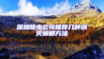 深圳除蟲公司推薦幾種消滅蟑螂方法