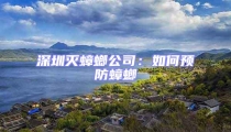 深圳滅蟑螂公司:如何預(yù)防蟑螂