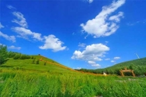 蟑螂繁殖的有多快？