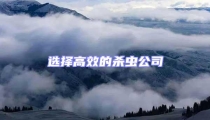 選擇高效的殺蟲公司