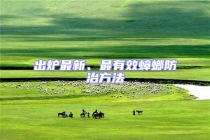 出爐最新、最有效蟑螂防治方法