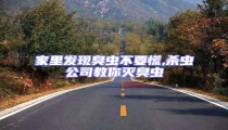 家里發現臭蟲不要慌,殺蟲公司教你滅臭蟲