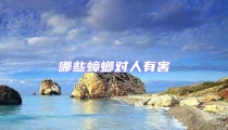 哪些蟑螂對人有害
