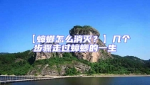 【蟑螂怎么消滅?】幾個步驟走過蟑螂的一生