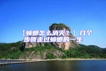 【蟑螂怎么消滅？】幾個(gè)步驟走過蟑螂的一生