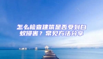 怎么檢查建筑是否受到白蟻侵害？常見方法分享