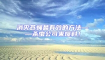 消滅蒼蠅最有效的方法——殺蟲公司來爆料!
