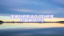深圳白蟻防治介紹白蟻多見品種及習性
