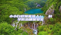 小小白蟻損害驚人!  科學防治確保安全