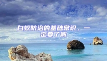 白蟻防治的基礎(chǔ)常識(shí),一定要了解