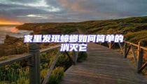 家里發現蟑螂如何簡單的消滅它