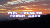 滅白蟻:白蟻容易在土壩內筑巢繁衍,形成危害